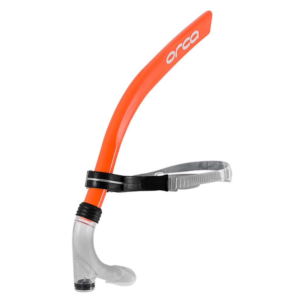 orca-snorkel-1